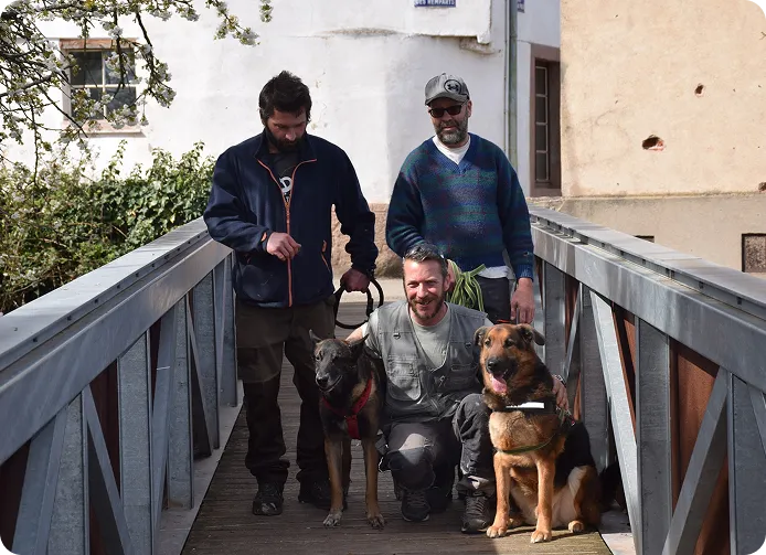 Cynologie et comportementalisme canin